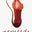 Nepseeds logo